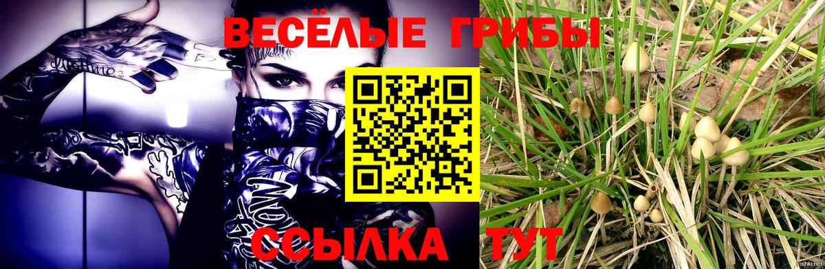 Галлюциногенные грибы Cubensis  Вход с VPN  где продают   Югорск 